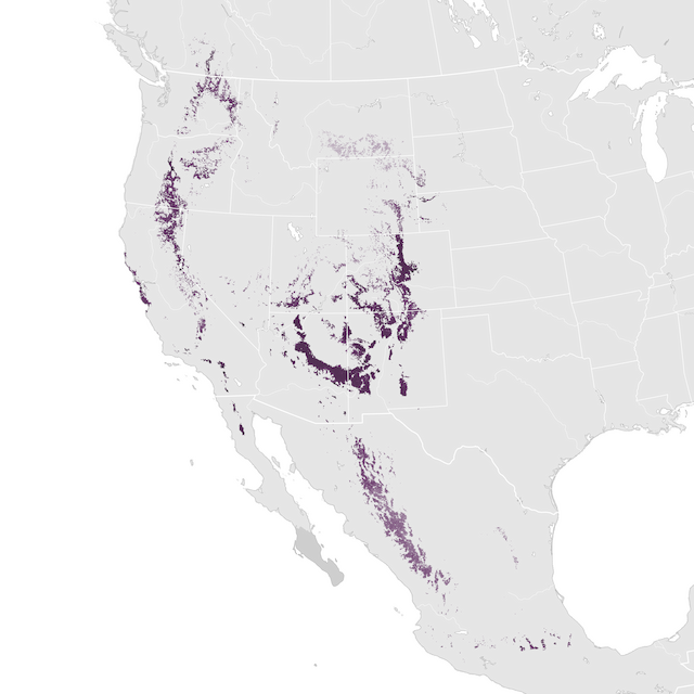 Abundance Map