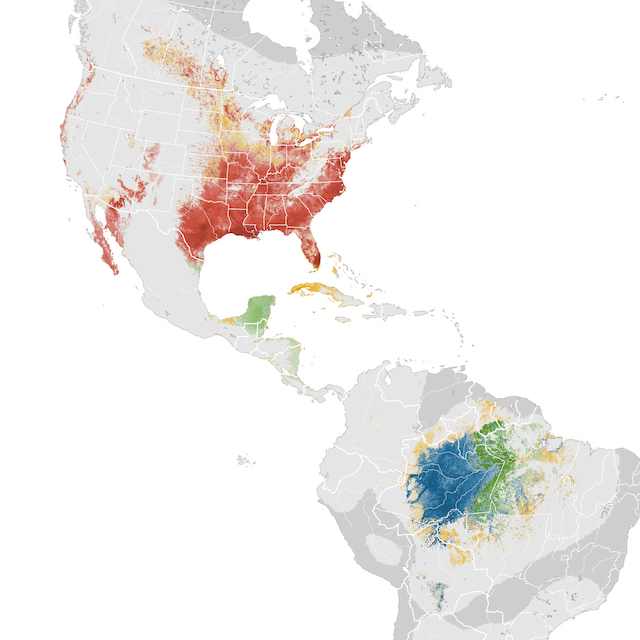 Mapa de abundancia