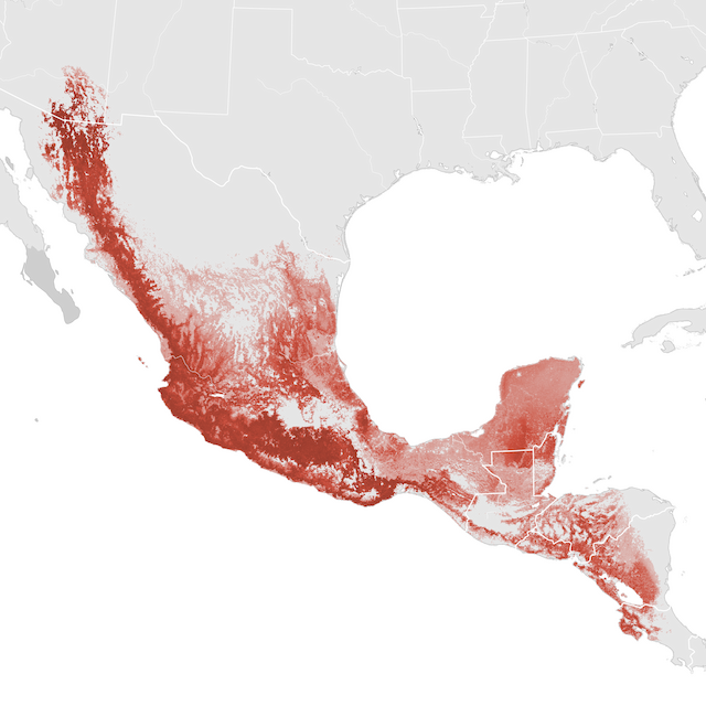 Abundance Map