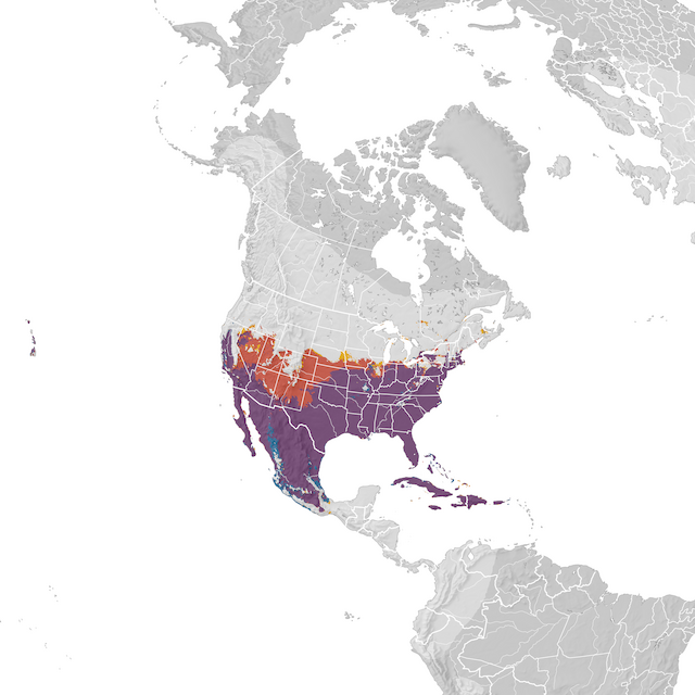 Range Map