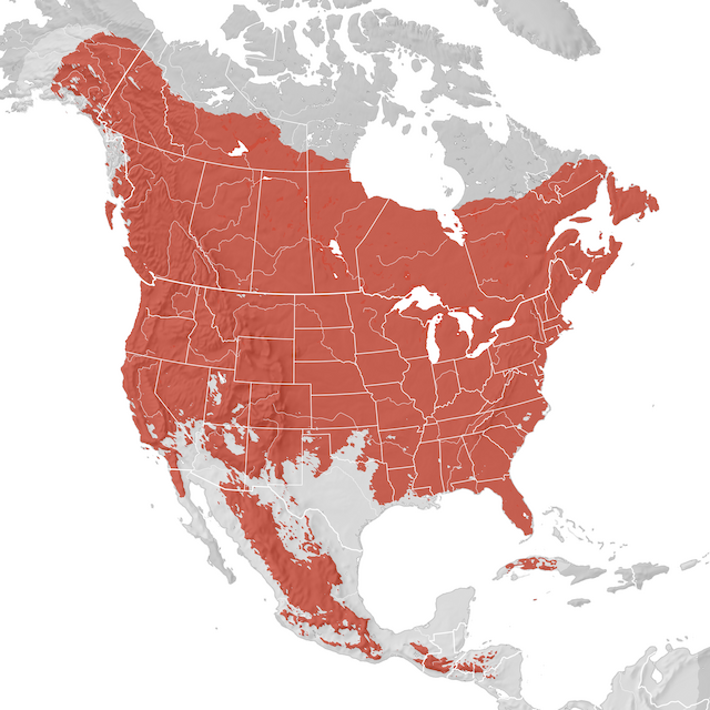 Range Map