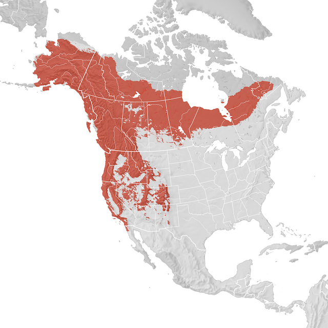 Carte de distribution