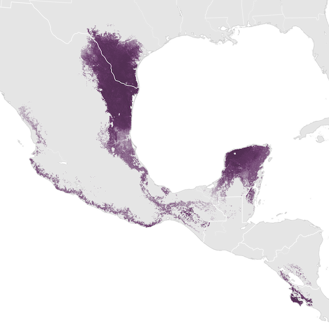 Mapa de abundancia