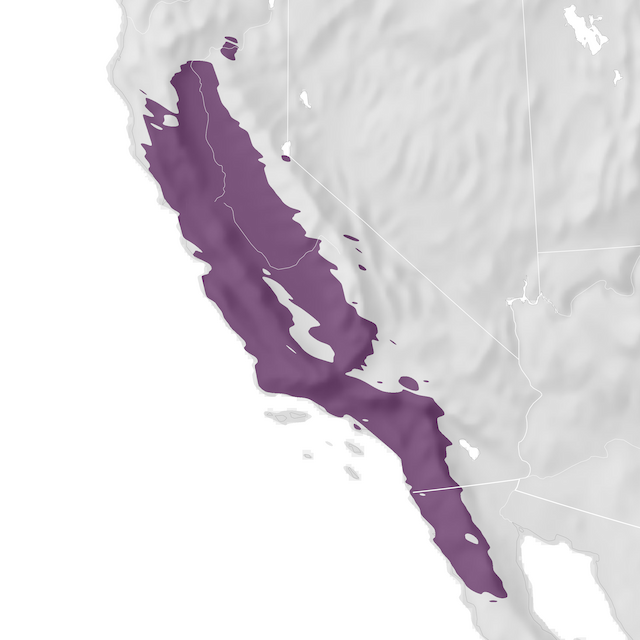 Mapa de rango