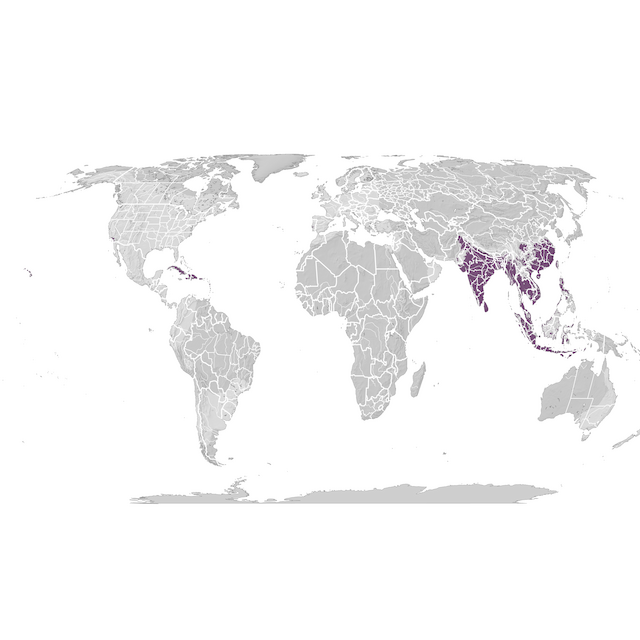 Mapa de Distribuição