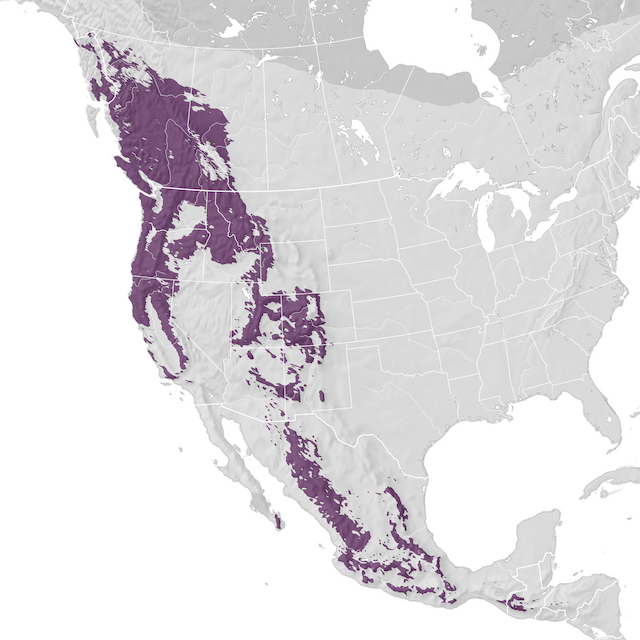 Mapa de rango