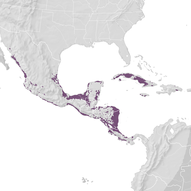 Mapa de distribuição