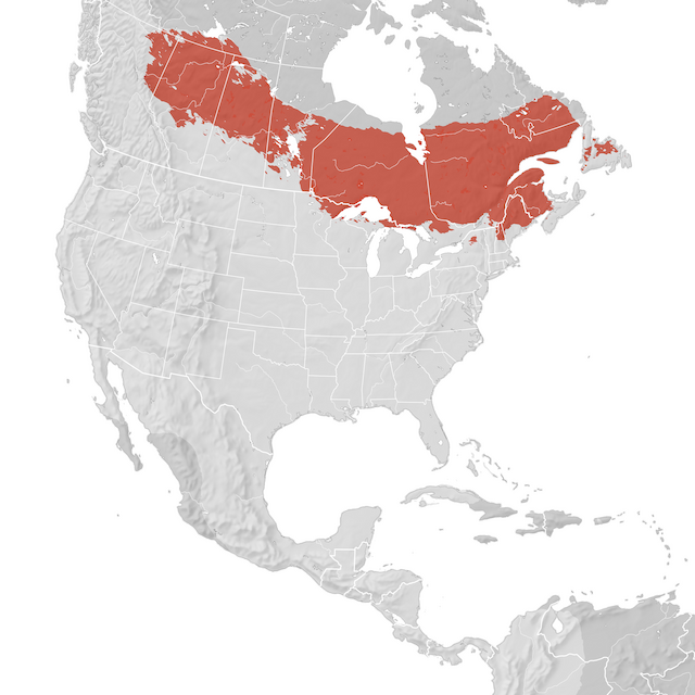 Carte de distribution