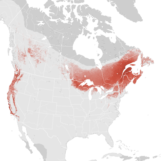 Mapa de abundancia