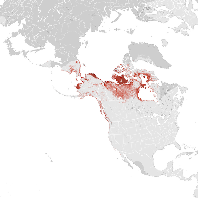 Mapa abundance