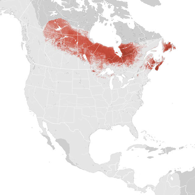 Abundance Map