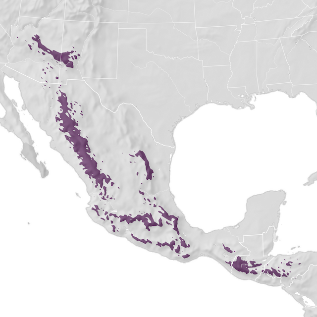 Range Map