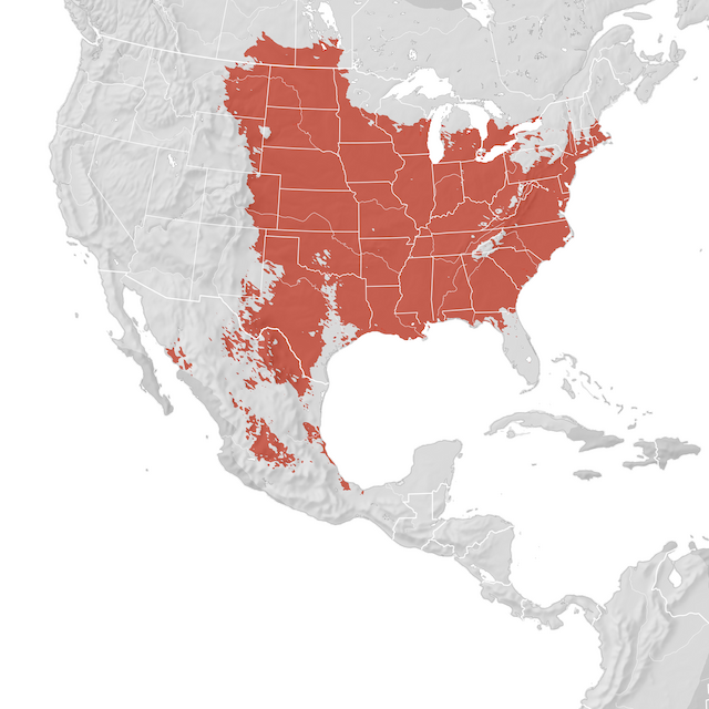 Mappa di distribuzione