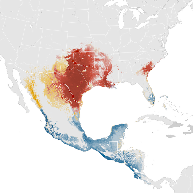 Mapa abundance