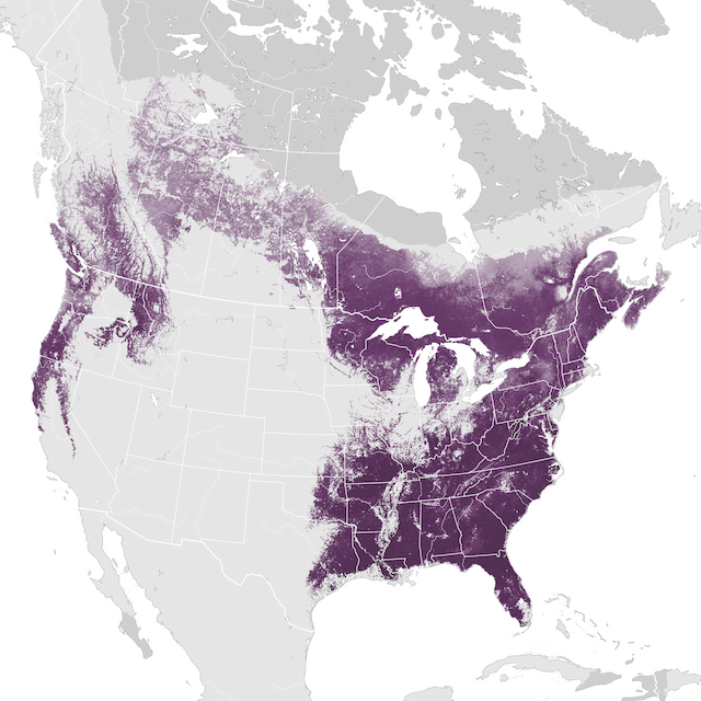 Mapa de abundancia