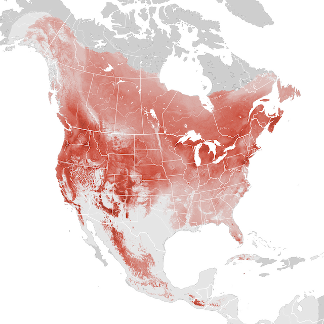 Mapa de Abundância