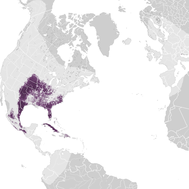 Abundance Map