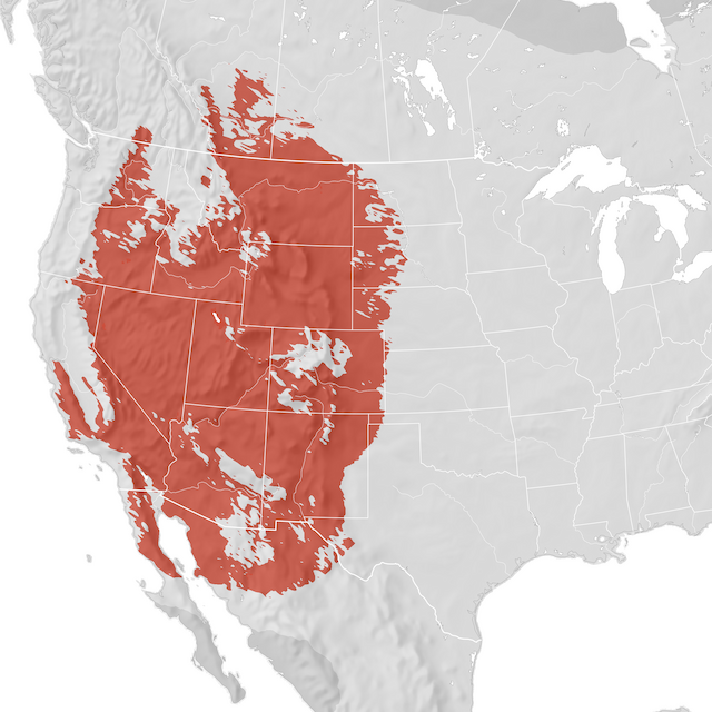 Mapa de rango