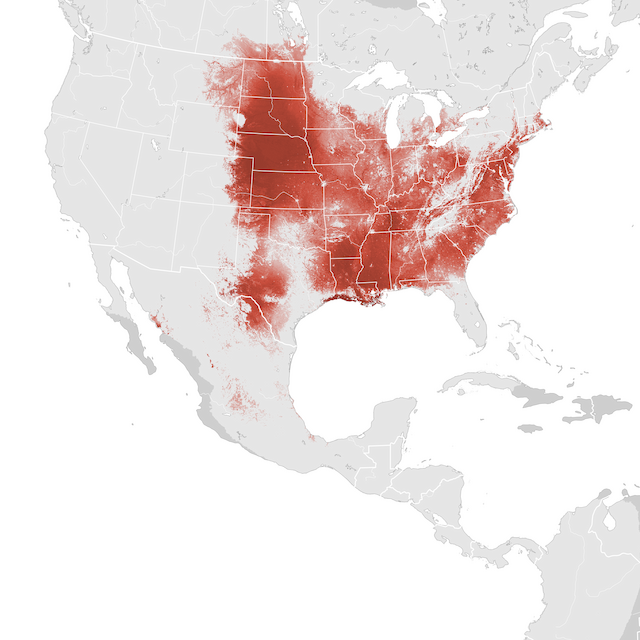 Mapa de Abundância