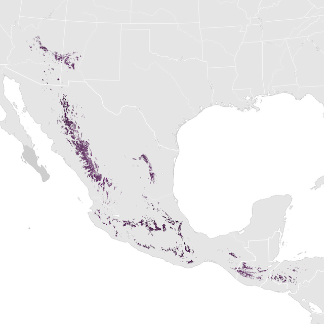 Ugaritasun mapa