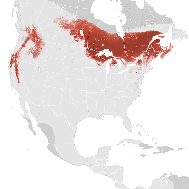 Mapa de abundancia