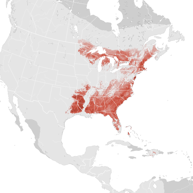 Abundance Map