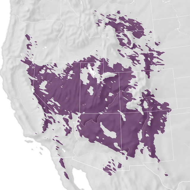 Mapa de rango