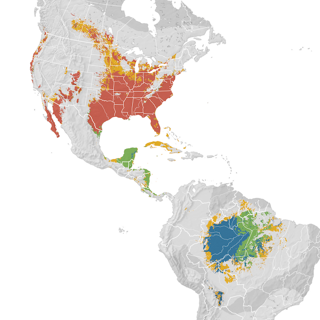 Mapa de Distribuição