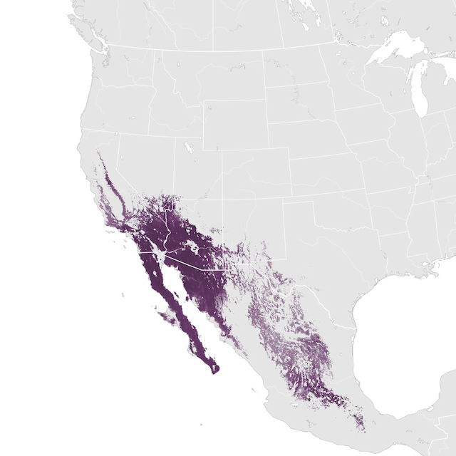 Abundance Map