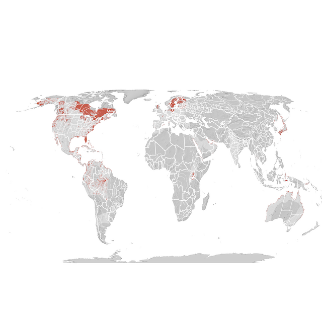 Mapa de Distribuição