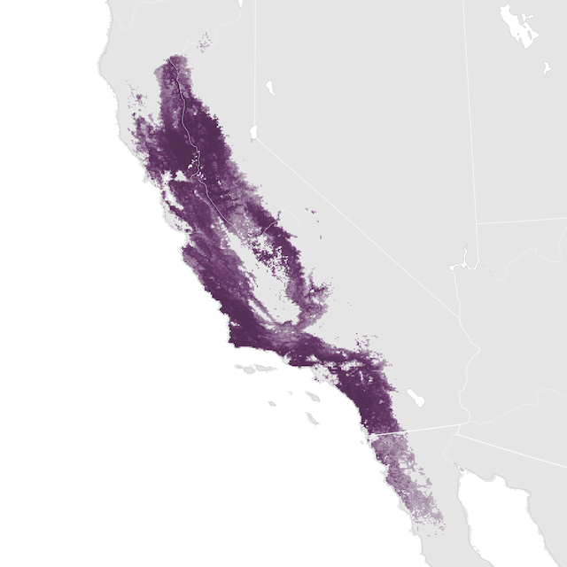 Mapa de Abundância