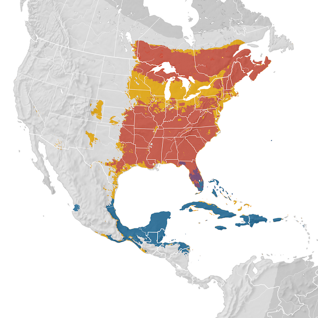 Mapa de distribuição