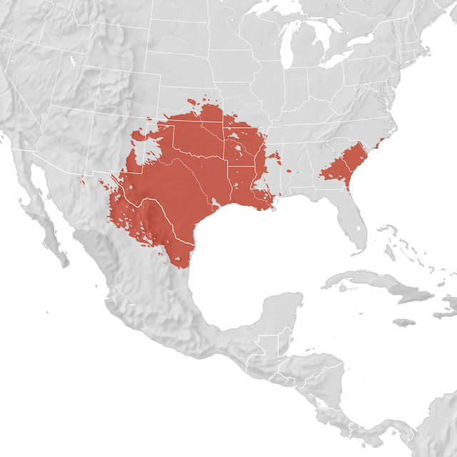 Mapa de distribuição