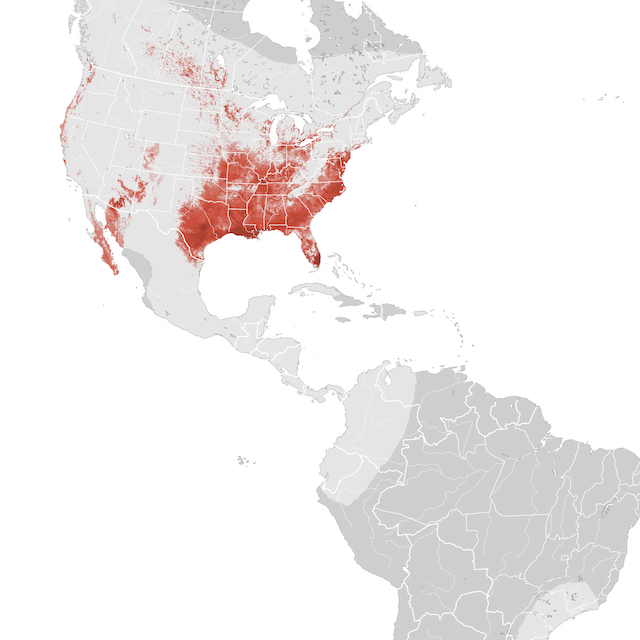 Mapa de abundancia