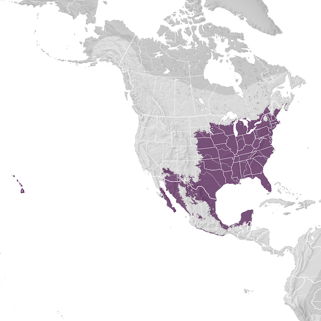 Mapa de Distribuição