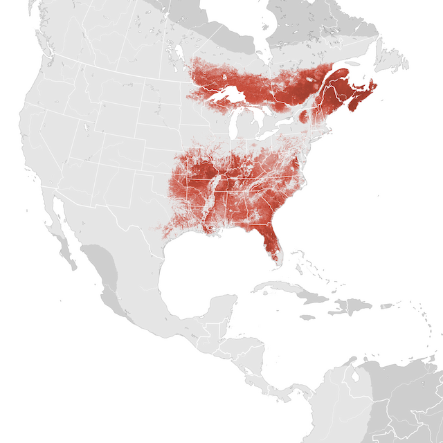 Mapa de abundâcia