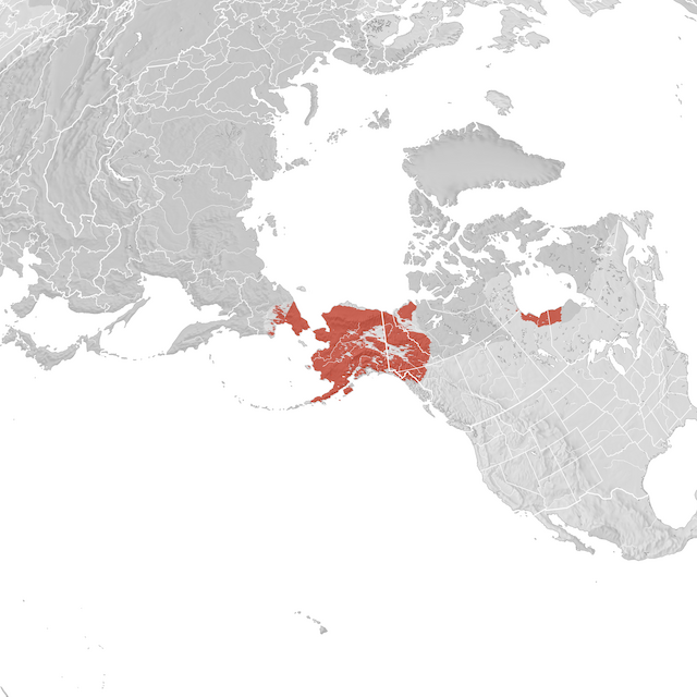 Mapa de Distribuição