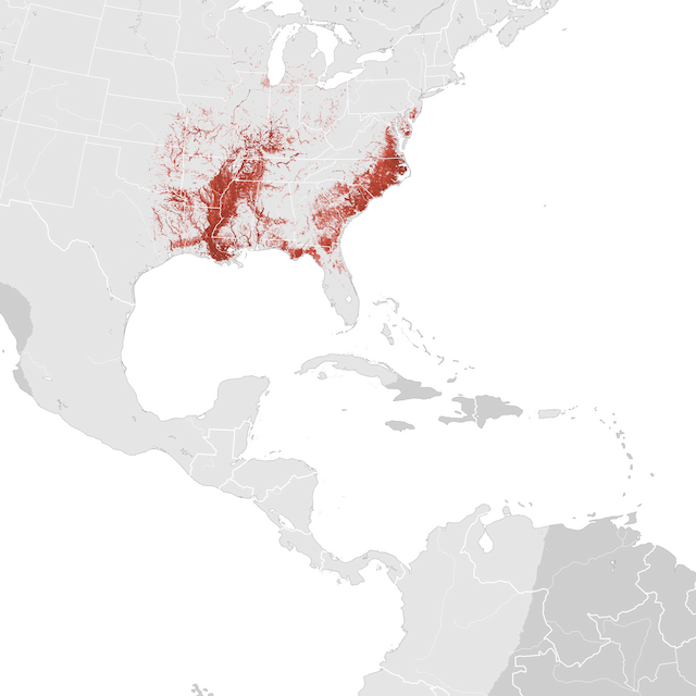 Mapa de abundancia