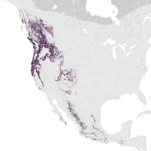 Mapa de Abundância