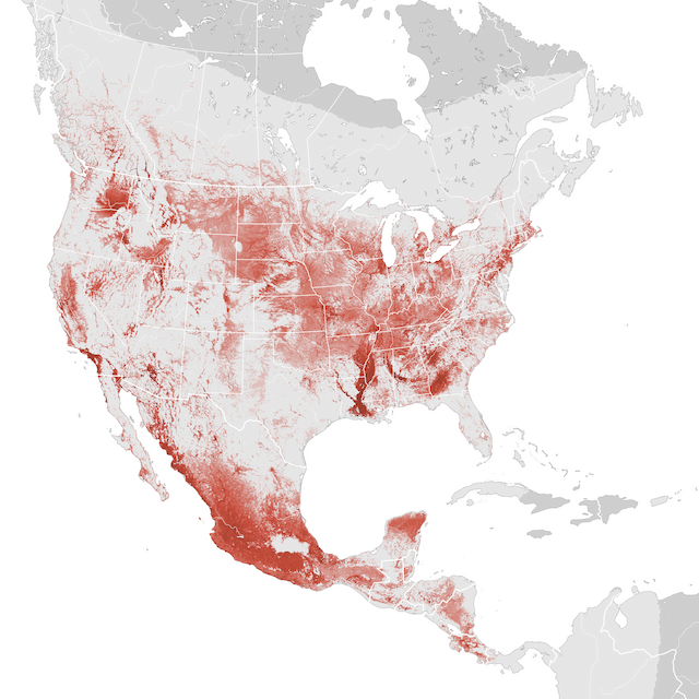 Abundance Map