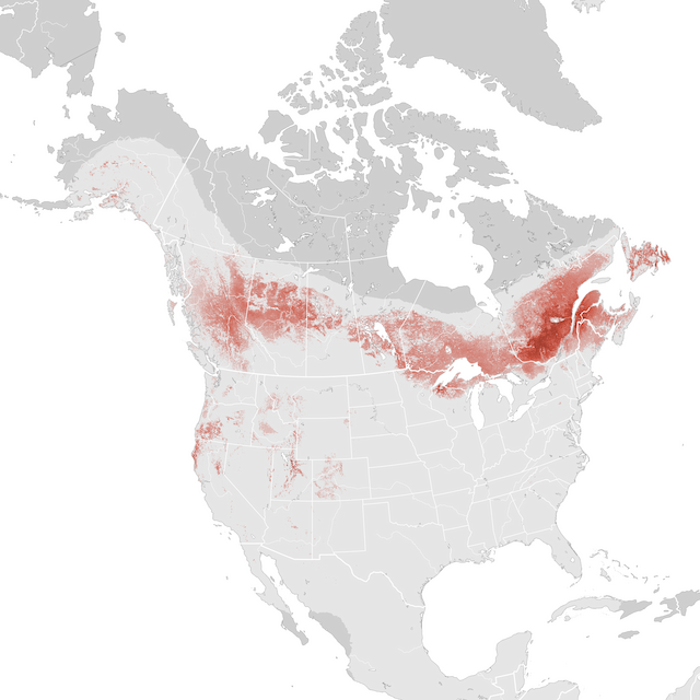 Abundance Map