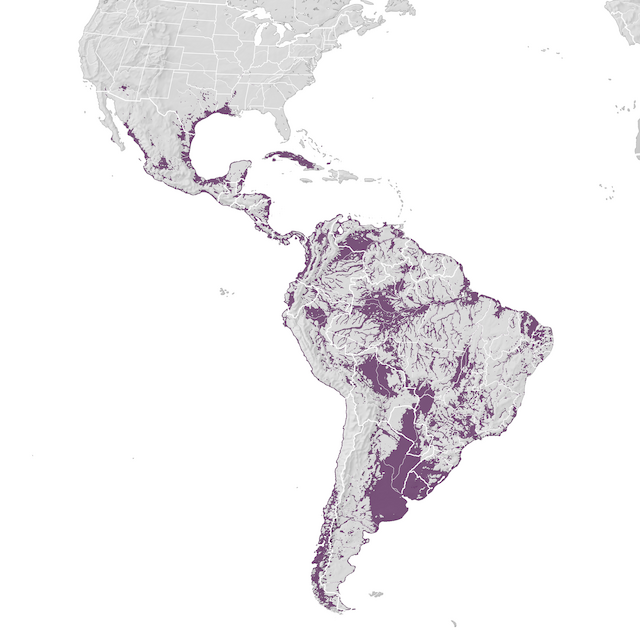 Carte de distribution