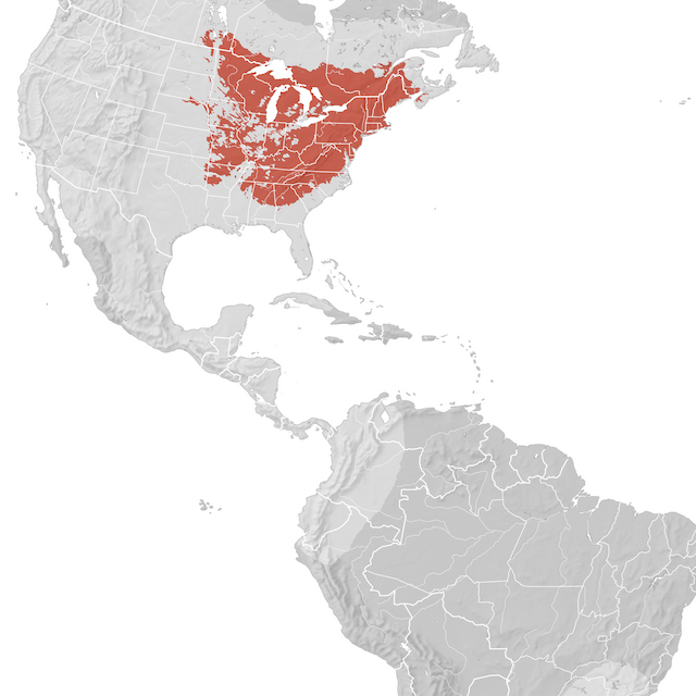 Mappa di distribuzione