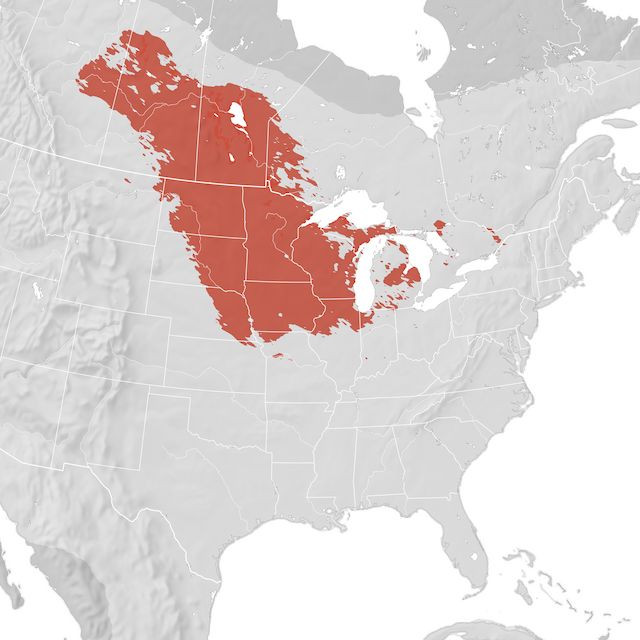 Range Map