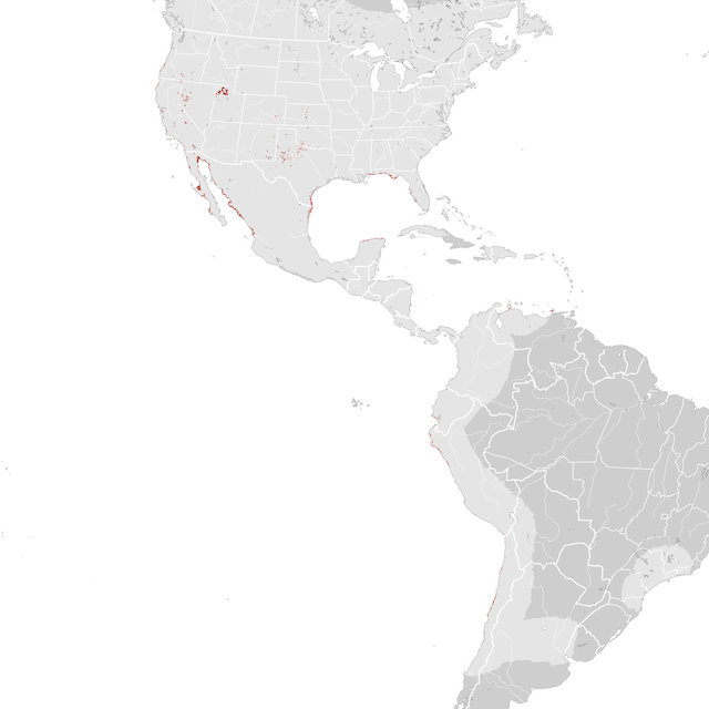 Mapa de Abundância