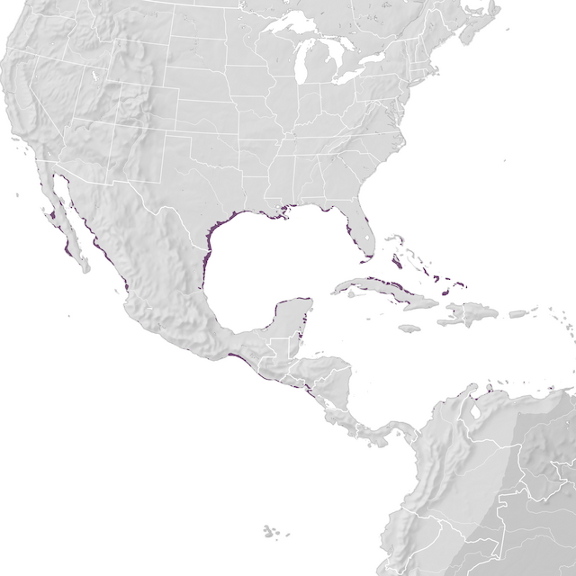 Mappa di distribuzione