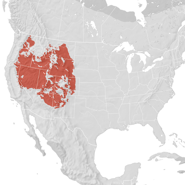 Range Map