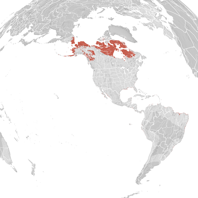 Mappa di distribuzione