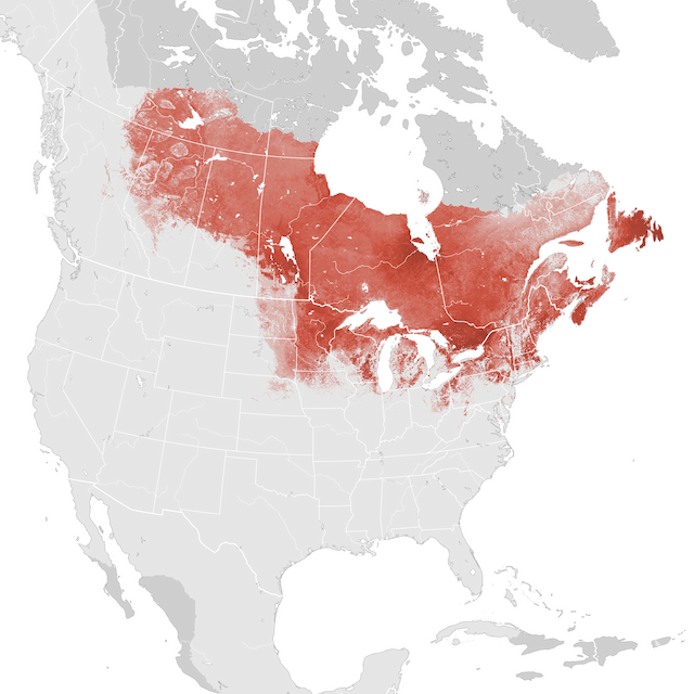 Mapa de Abundância