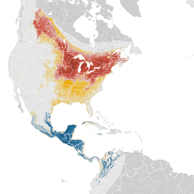 Mapa de abundancia